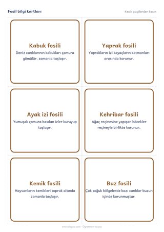 Fosil bilgi kartları