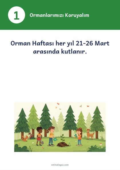 Orman Haftası — Bilgi kartları: Ormanlarımızı Koruyalım