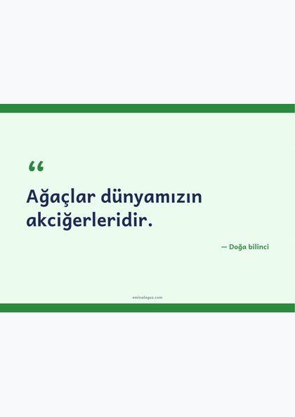 Orman Haftası — Orman sloganları