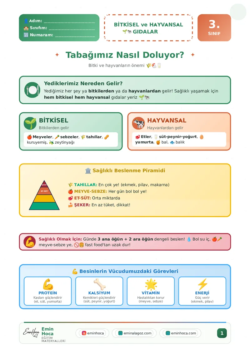 3.SINIF HAYAT BİLGİSİ SAĞLIKLI BESLENME VE BESİNLERİMİZ KONU ANLATIMI VE ÇALIŞMA KAĞIDI PDF İNDİR önizleme